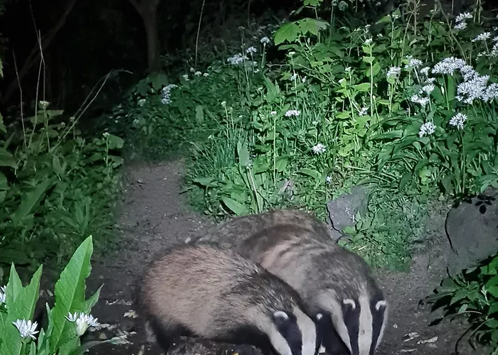 Badger Bar Bed & Breakfast Ambleside